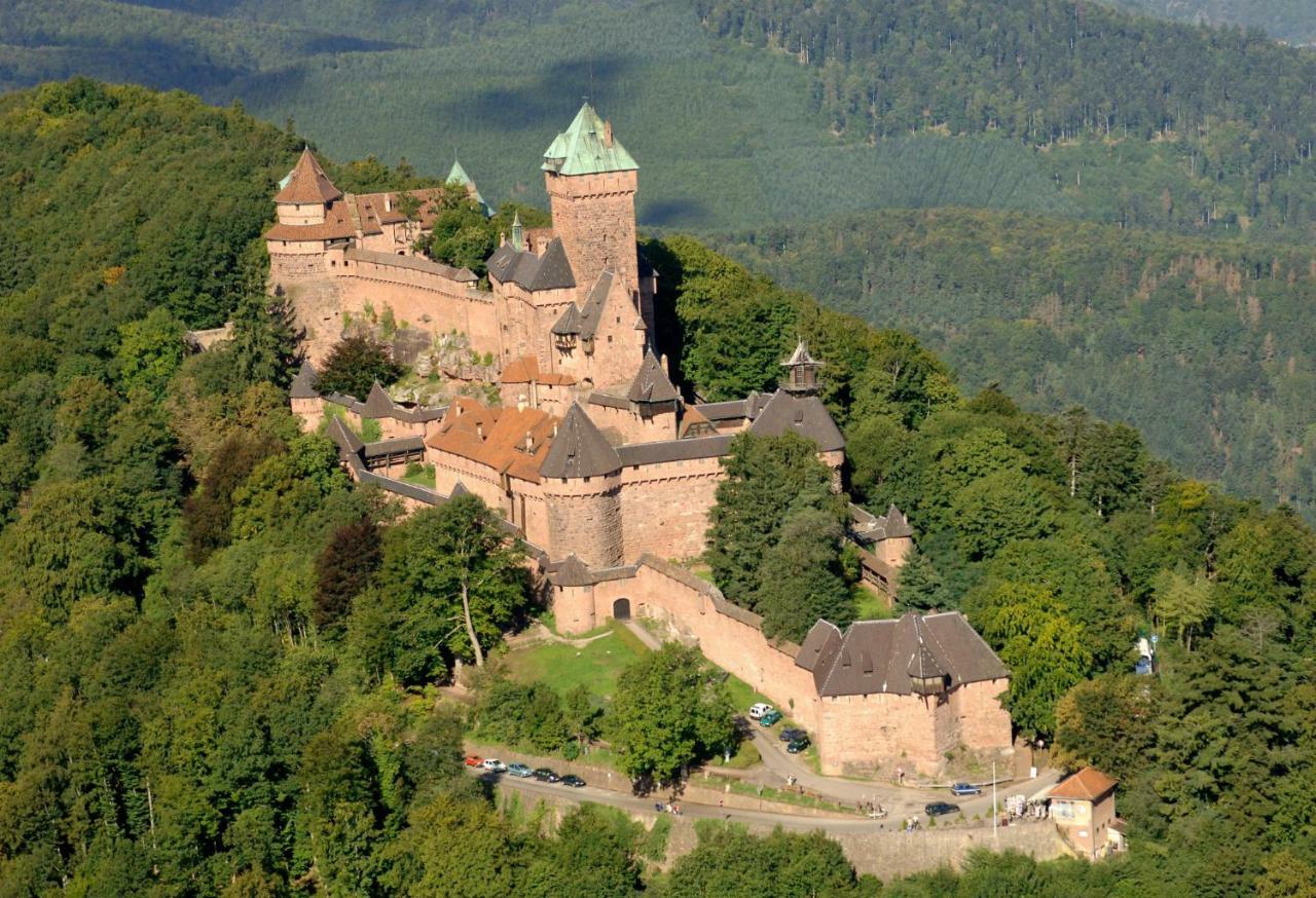 Appartamento Le Bonheur Est Parfois Cache Dans L'Inconnu Sélestat Esterno foto