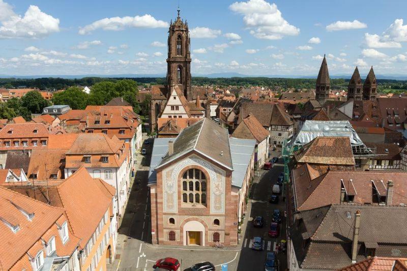Appartamento Le Bonheur Est Parfois Cache Dans L'Inconnu Sélestat Esterno foto