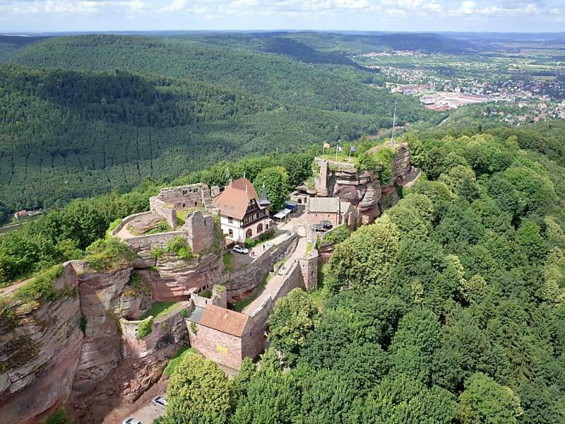Appartamento Le Bonheur Est Parfois Cache Dans L'Inconnu Sélestat Esterno foto